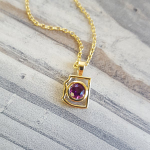 14K Mini Arizona State Amethyst Pendant